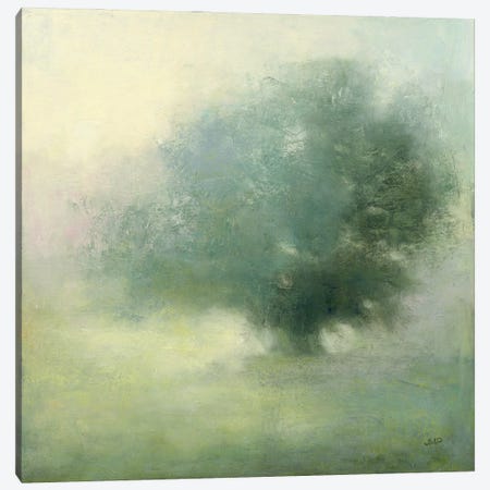 Morning Haze Canvas Print #JPU93} by Julia Purinton Art Print