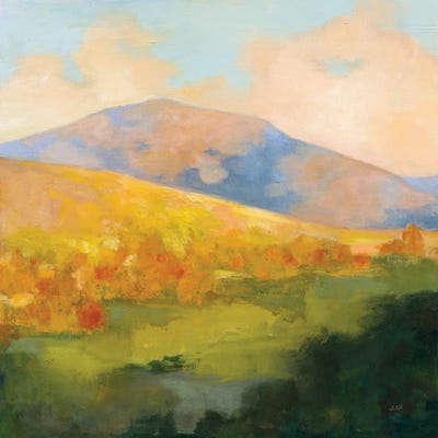 Mountain Morning by Julia Purinton canvas print