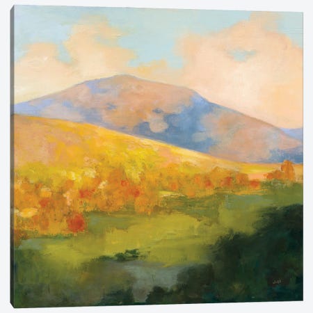 Mountain Morning Canvas Print #JPU94} by Julia Purinton Canvas Artwork