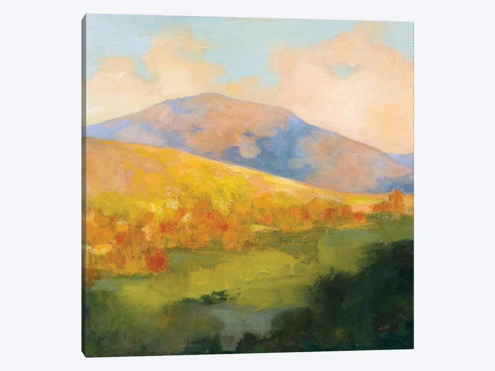 Mountain Morning by Julia Purinton 1-piece Canvas Art Print