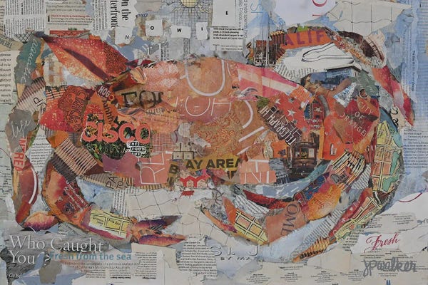 Crabs: San Francisco Crab by Jamie Pavlich-Walker