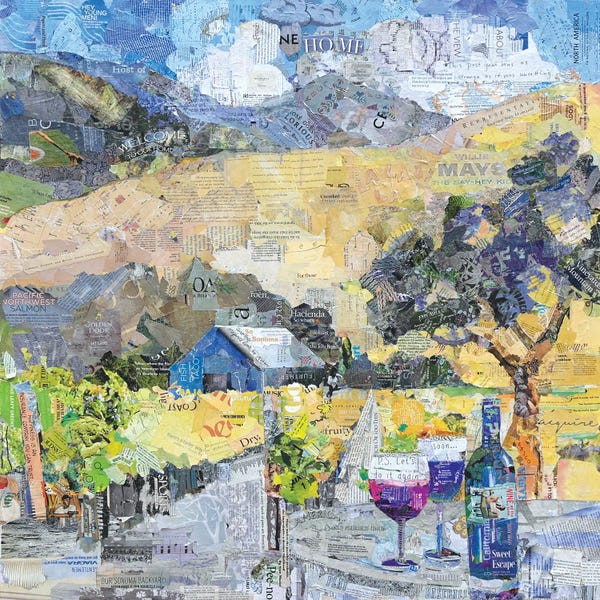 Vineyards: So Sonoma! by Jamie Pavlich-Walker