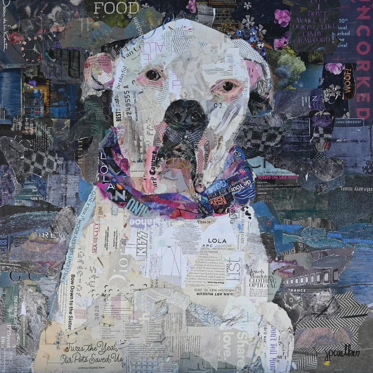 This Is Lola by Jamie Pavlich-Walker wall art
