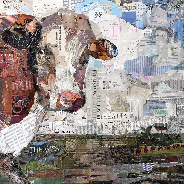 Coco The Cow