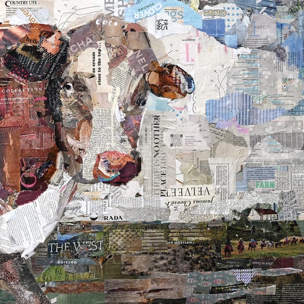 Jamie Pavlich-Walker: Coco The Cow by Jamie Pavlich-Walker
