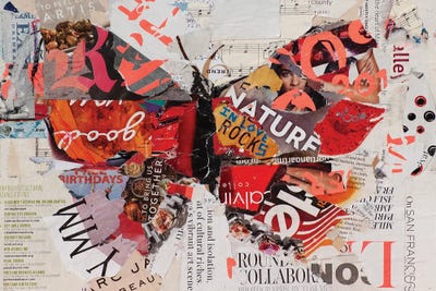 Butterflies Are Free by Jamie Pavlich-Walker canvas print