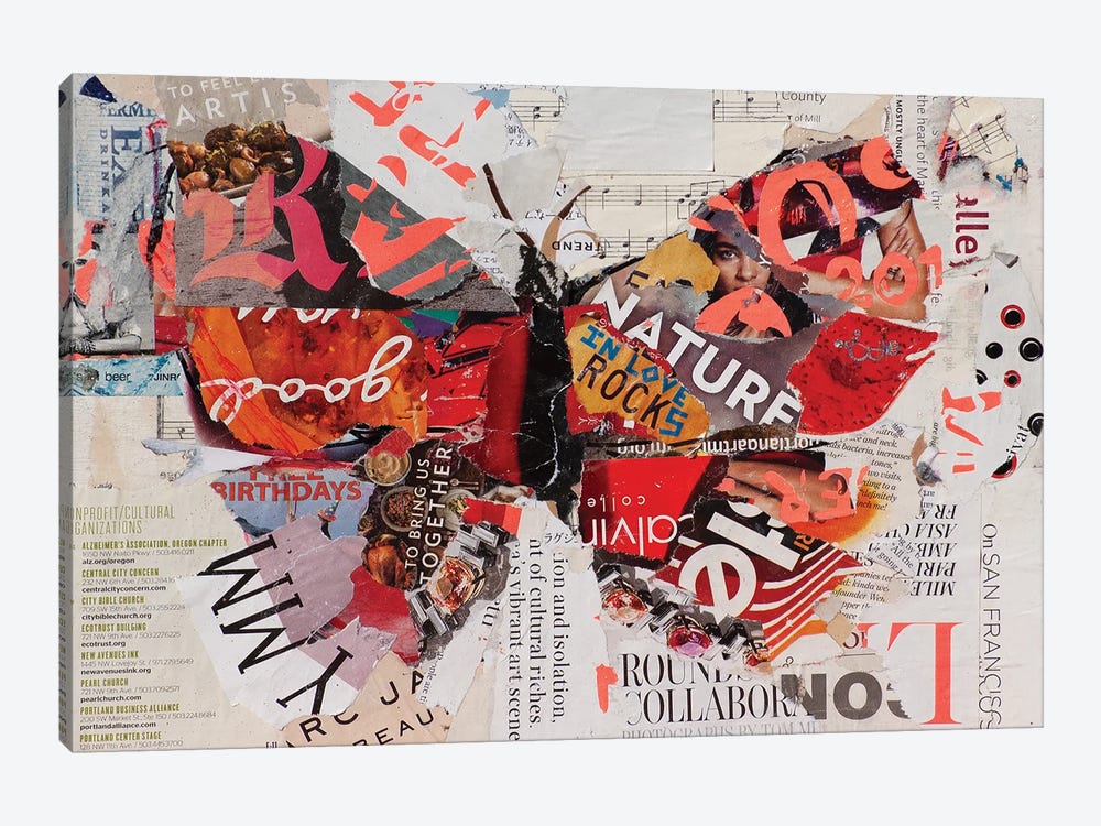 Butterflies Are Free by Jamie Pavlich-Walker 1-piece Canvas Artwork