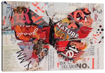 Butterflies Are Free Canvas Art Print - Jamie Pavlich-Walker