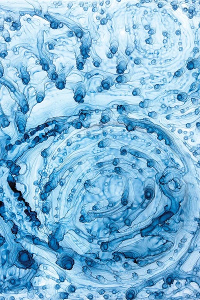 Alcohol Ink: Ursula's Garden by Jamie Pomeranz