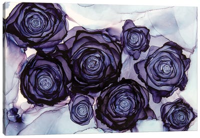 Beauty Among The Thorns Canvas Art Print - Jamie Pomeranz