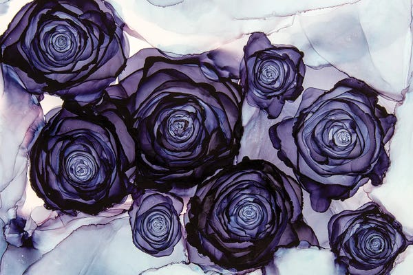 Goth Art: Beauty Among The Thorns by Jamie Pomeranz