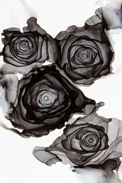 Goth Art: My Beautiful Darkness by Jamie Pomeranz