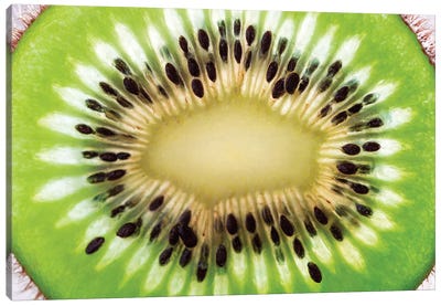 Close-Up Of Kiwi Slice Canvas Art Print - Abstracts in Nature