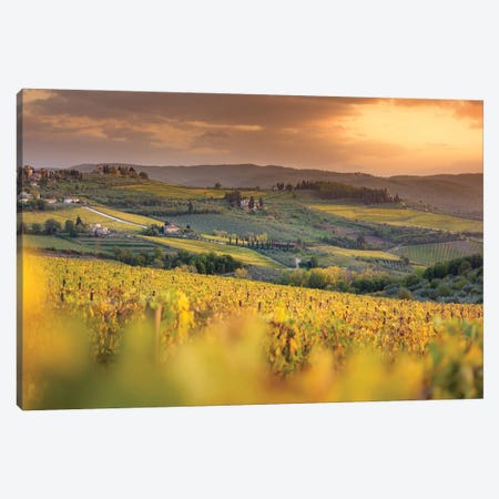 Chianti Vineyards In Autumn Sunset Canvas Print #JRC20} by Jeferson Castellari Canvas Print