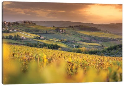 Chianti Vineyards In Autumn Sunset Canvas Art Print - Jeferson Castellari