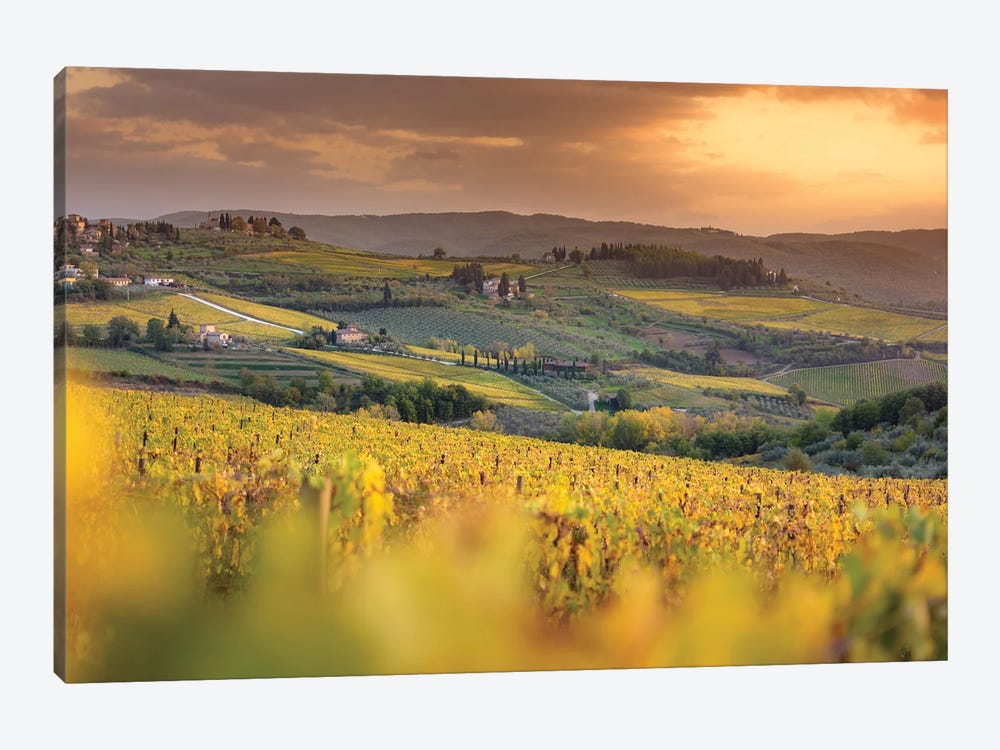 Chianti Vineyards In Autumn Sunset by Jeferson Castellari 1-piece Canvas Art Print