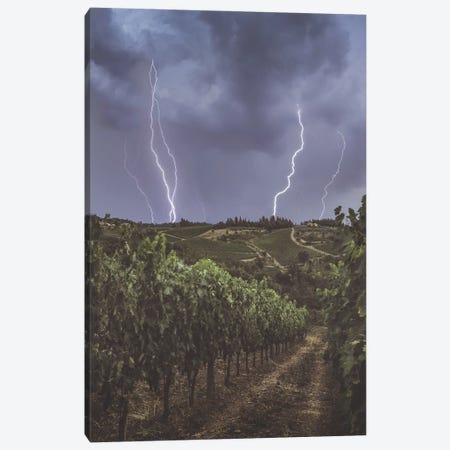 Thunderstorm And Lightning In Vineyards Canvas Print #JRC50} by Jeferson Castellari Canvas Wall Art