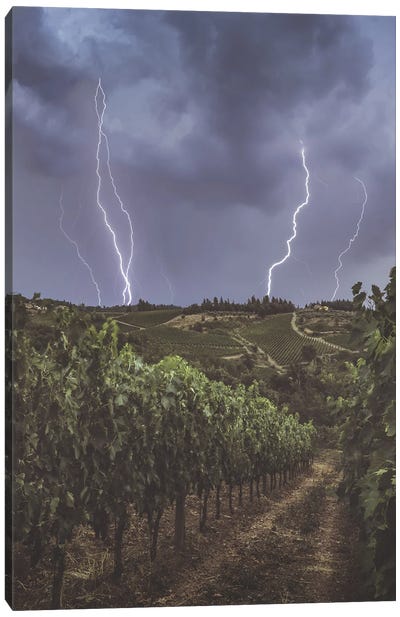 Thunderstorm And Lightning In Vineyards Canvas Art Print - Vineyard Art