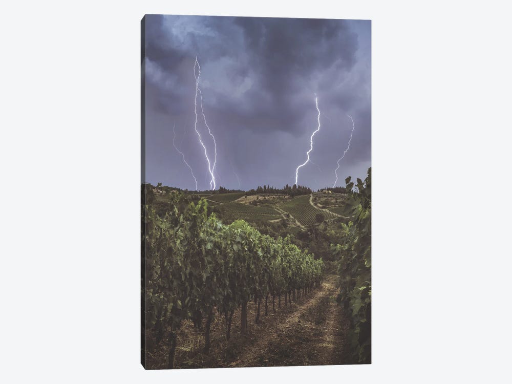 Thunderstorm And Lightning In Vineyards by Jeferson Castellari 1-piece Canvas Art