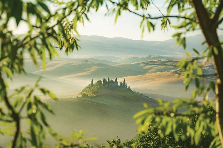 Tuscan Naturally Framed (Podere Belvedere, San Quirico D'Orcia)