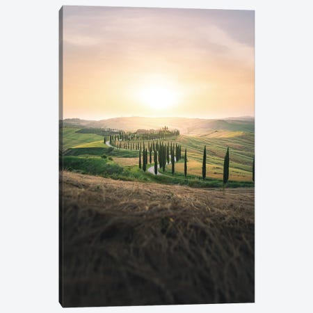 Tuscan Landscape With Cypress Avenue At Sunset Canvas Print #JRC99} by Jeferson Castellari Canvas Artwork