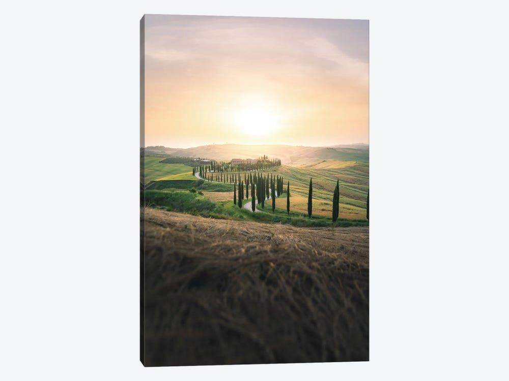 Tuscan Landscape With Cypress Avenue At Sunset by Jeferson Castellari 1-piece Canvas Print