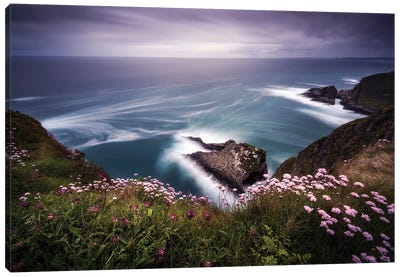 On The Edge Of The Cliff Canvas Art Print