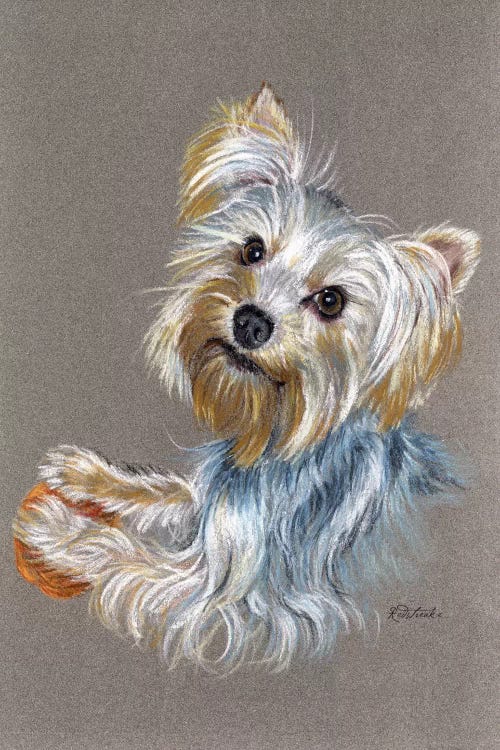 Yorkie by Jennifer Redstreake wall art