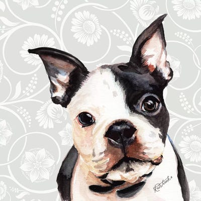 Boston Terrier by Jennifer Redstreake acrylic art print