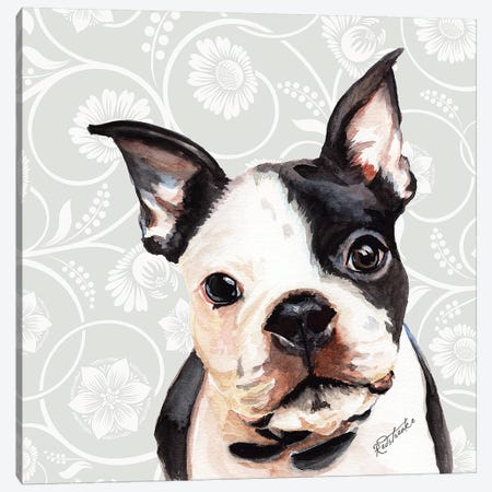 Boston Terrier Canvas Print #JRE105} by Jennifer Redstreake Canvas Art Print