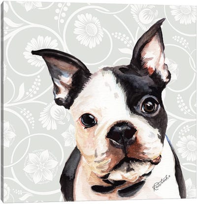 Boston Terrier Canvas Art Print - Jennifer Redstreake