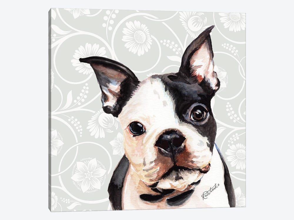 Boston Terrier by Jennifer Redstreake 1-piece Canvas Print