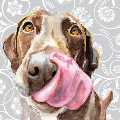 Chocolate Lab Licking Tongue by Jennifer Redstreake framed wall art