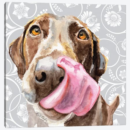 Chocolate Lab Licking Tongue Canvas Print #JRE106} by Jennifer Redstreake Canvas Print
