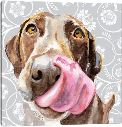 Chocolate Lab Licking Tongue Canvas Art Print - Jennifer Redstreake