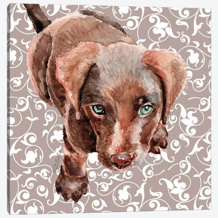 Chocolate Lab Puppy Canvas Print #JRE107} by Jennifer Redstreake Art Print