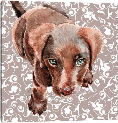 Chocolate Lab Puppy Canvas Art Print - Jennifer Redstreake