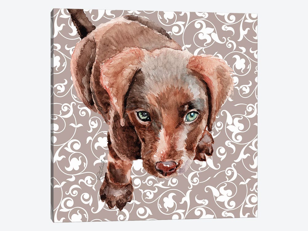 Chocolate Lab Puppy by Jennifer Redstreake 1-piece Canvas Print