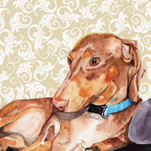 Jennifer Redstreake: Dachshund by Jennifer Redstreake
