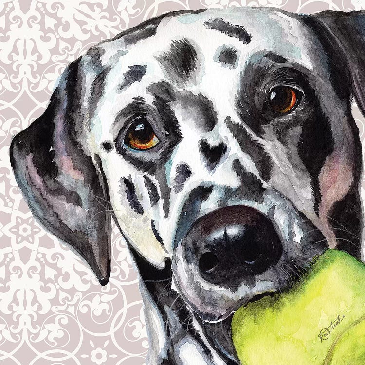 Dalmatian