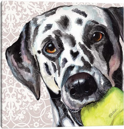 Dalmatian Canvas Art Print - Jennifer Redstreake