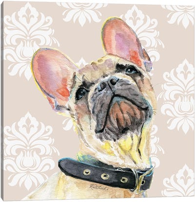 French Bulldog Canvas Art Print - Jennifer Redstreake