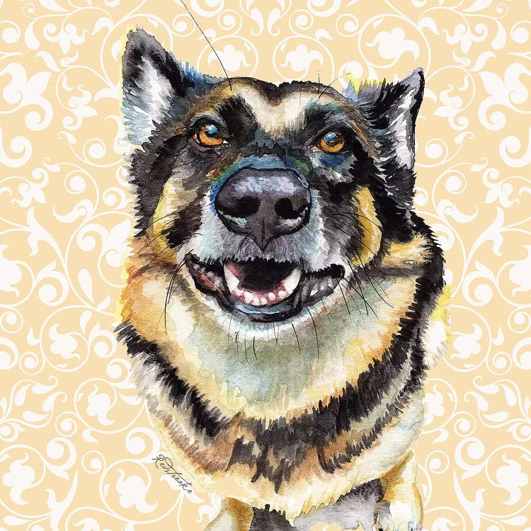 German Shepherd