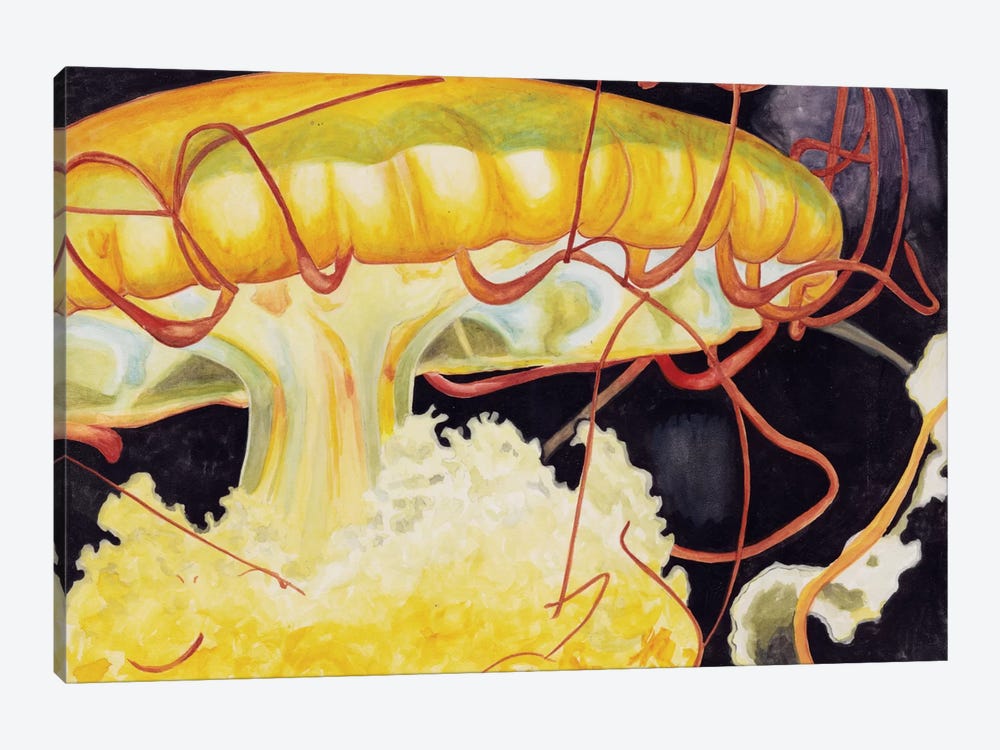 Chattanooga Jellyfish I by Jennifer Redstreake 1-piece Canvas Art Print