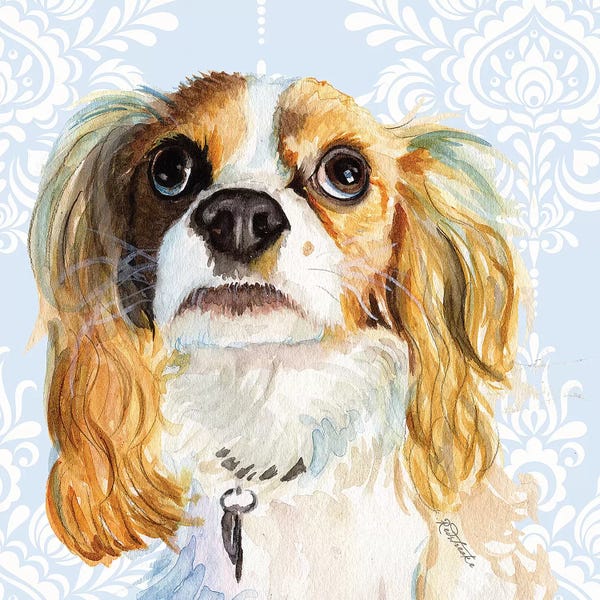 Cavalier King Charles Spaniels: King Charles Spaniel by Jennifer Redstreake