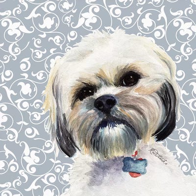 Maltese by Jennifer Redstreake framed wall art