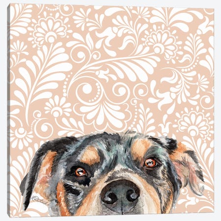 Rottweiler Canvas Print #JRE128} by Jennifer Redstreake Canvas Wall Art