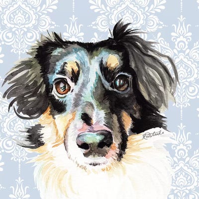 Sheltie Corgi Mix by Jennifer Redstreake metal wall art