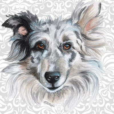 Shetland by Jennifer Redstreake framed wall art