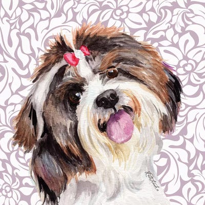 Shih Tzu With Bow by Jennifer Redstreake framed wall art